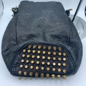 Alexander want Diego